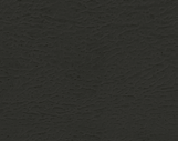 1F Black